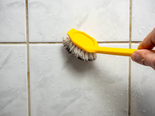 Best Mold Cleaning Services  in Middlebranch, OH